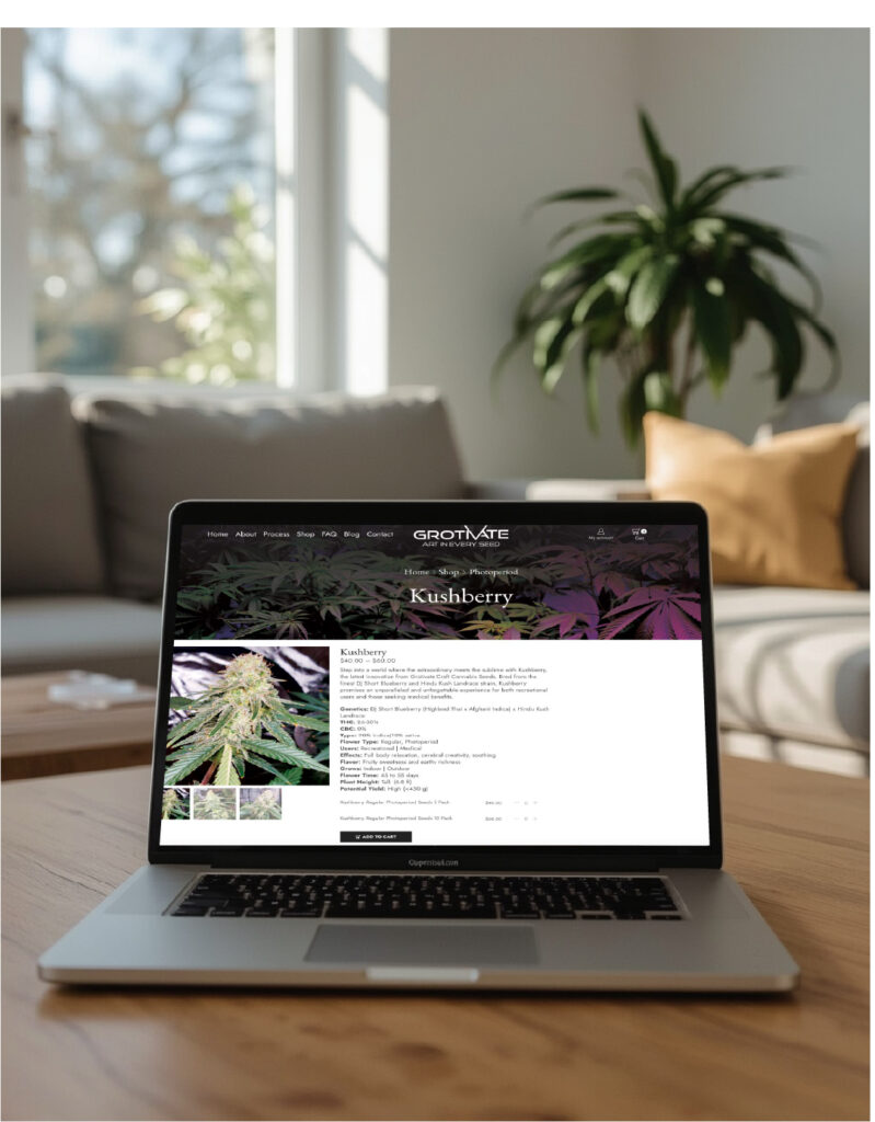 Laptop showing Grotivate Kushberry cannabis seed product page in a sunlit living room, with houseplants and a cozy couch in the background.